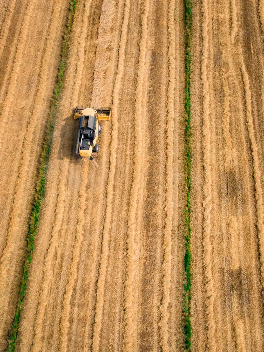 Aerial view of a rice harvester